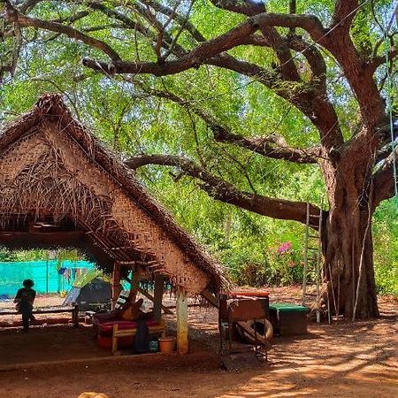 Auberge de jeunesse Travellers Tribe By Livelehood Habitat à Auroville Extérieur photo