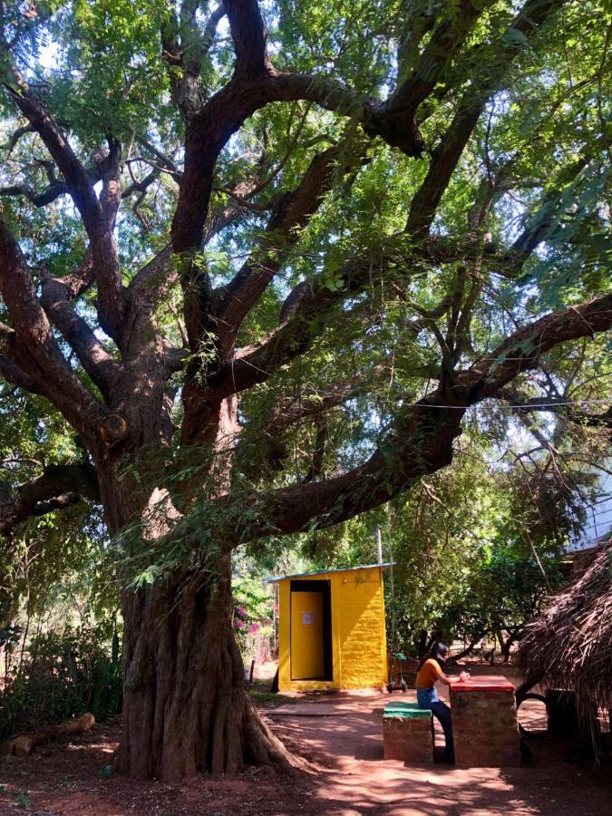 Auberge de jeunesse Travellers Tribe By Livelehood Habitat à Auroville Extérieur photo
