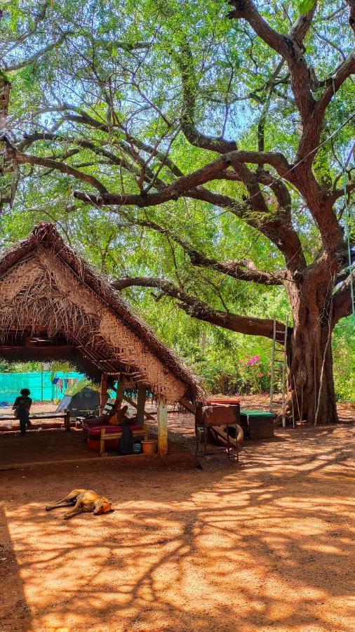 Auberge de jeunesse Travellers Tribe By Livelehood Habitat à Auroville Extérieur photo